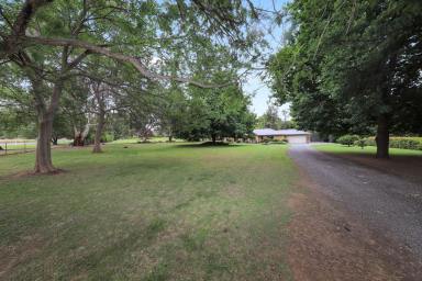 House Sold - NSW - Tumut - 2720 - Edge of Town!  (Image 2)