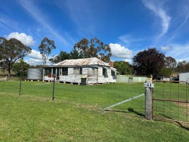 House Sold - NSW - Inverell - 2360 - Acreage and Renovators Delight  (Image 2)