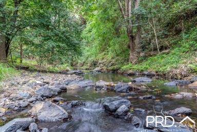 Other (Rural) For Sale - NSW - Terrace Creek - 2474 - 277 Acre Grazing Property with Ample Water  (Image 2)