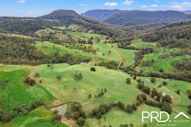 Other (Rural) For Sale - NSW - Terrace Creek - 2474 - 277 Acre Grazing Property with Ample Water  (Image 2)