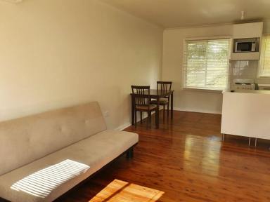 Apartment Leased - NSW - Muswellbrook - 2333 - FURNISHED ONE BEDROOM SELF CONTAINED FLAT CENTRAL IN MUSWELLBROOK  (Image 2)