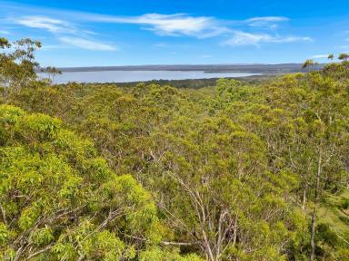 Residential Block For Sale - NSW - Ashby Heights - 2463 - Prime Land with Scenic Views - Your Dream Home Awaits!  (Image 2)
