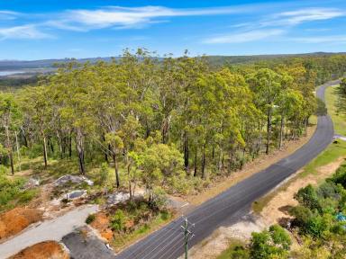 Residential Block For Sale - NSW - Ashby Heights - 2463 - Prime Land with Scenic Views - Your Dream Home Awaits!  (Image 2)