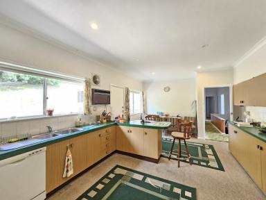 House Sold - nsw - Muswellbrook - 2333 - The Centre of Town  (Image 2)
