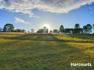 Residential Block For Sale - QLD - Mount Perry - 4671 - 1/2 Acre In Picturesque Mount Perry  (Image 2)