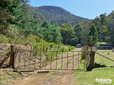 Residential Block For Sale - TAS - Magra - 7140 - Peaceful & Private  (Image 2)