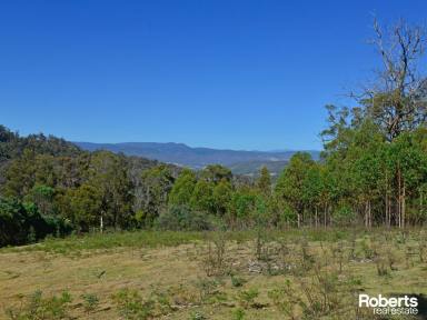 Residential Block For Sale - TAS - Magra - 7140 - Peaceful & Private  (Image 2)