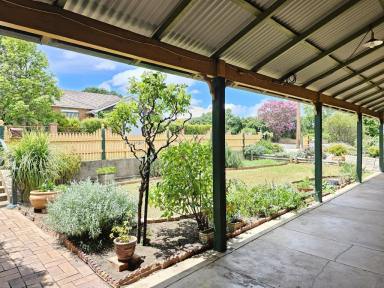 House For Sale - nsw - Muswellbrook - 2333 - A Unique Property in the Centre of Town  (Image 2)