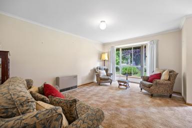 Townhouse Sold - VIC - Golden Point - 3350 - INNER CITY LIVING ON YOUR OWN TITLE  (Image 2)