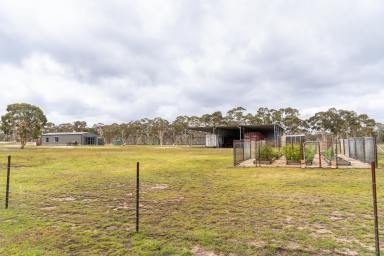 Lifestyle For Sale - NSW - Oallen - 2622 - Mogo magic  (Image 2)