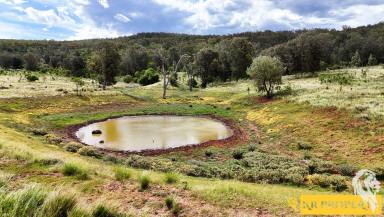 Mixed Farming For Sale - NSW - Tarriaro - 2390 - ALMOST 3000 ACRES OF GRAZING COUNTRY IN THE FOOTHILLS!!  (Image 2)