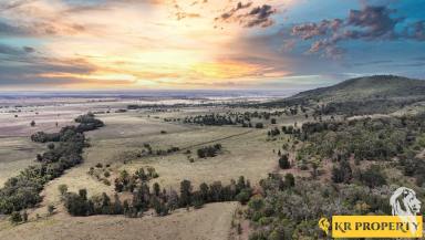 Mixed Farming For Sale - NSW - Tarriaro - 2390 - ALMOST 3000 ACRES OF GRAZING COUNTRY IN THE FOOTHILLS!!  (Image 2)