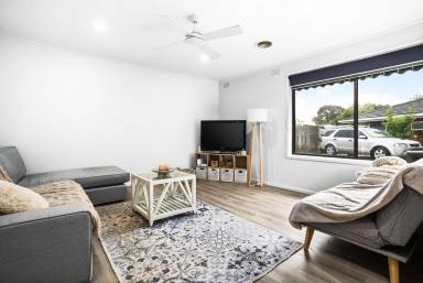 Unit Leased - VIC - Mordialloc - 3195 - LARGE PRIVATE COURTYARD l WALK TO SHOPS AND PUBLIC TRANSPORT l MODERN UNIT  (Image 2)