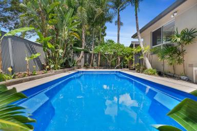 House Sold - QLD - Rangeville - 4350 - Fantastic for the Family - 883m2 with Pool!  (Image 2)
