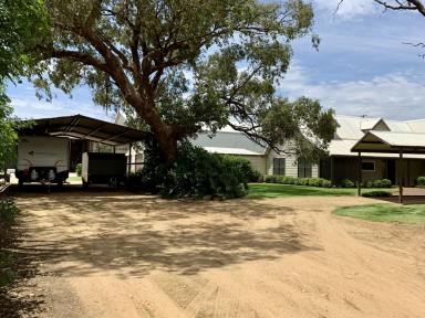 Acreage/Semi-rural For Sale - NSW - Narromine - 2821 - 25 Acre Irrigated Lucerne Farm (Image 2)