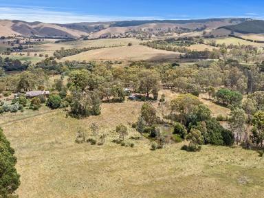 Livestock For Sale - VIC - Strath Creek - 3658 - DREAM TREE-CHANGE WITH CONVERSATION BENEFITS  (Image 2)
