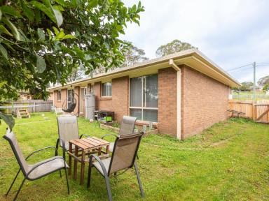 House Sold - NSW - Bega - 2550 - 3 BEDROOM HOME, UNDER $600K!  (Image 2)