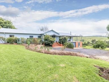 Acreage/Semi-rural For Sale - NSW - Lochiel - 2549 - A FARM, A BUSINESS, A LIFESTYLE!  (Image 2)