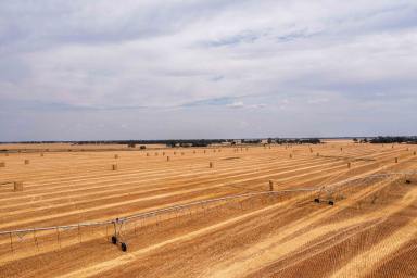 Mixed Farming For Sale - VIC - Torrumbarry - 3562 - INSTITUTIONAL SCALE CROPPING & SECURE WATER ENTITLEMENTS (2,113ML*)  (Image 2)