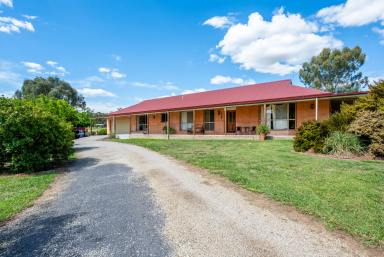 House Sold - VIC - Rutherglen - 3685 - Rural Lifestyle in vibrant North-East township  (Image 2)