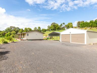 Acreage/Semi-rural Sold - NSW - Bega - 2550 - SPACE, PRIVACY AND QUIET!  (Image 2)