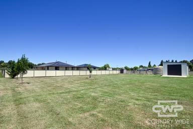 Residential Block Sold - NSW - Glen Innes - 2370 - Prime Building Block with Rural Views  (Image 2)