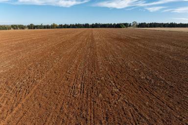 Mixed Farming Sold - NSW - Wagga Wagga - 2650 - Prime Riverina Farming Country  (Image 2)