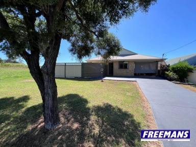 House Sold - QLD - Kingaroy - 4610 - Pet-Friendly Housing: A Dream Come True for Kingaroy Residents  (Image 2)