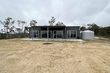 Lifestyle Sold - NSW - Wog Wog - 2622 - 114 ACRE COUNTRY RETREAT, VIEWS, DWELLING ENTITLEMENT TO BUILD YOUR DREAM HOME, ROAD FRONT, SHED, FIREPLACE, BACKS ONTO NATIONAL PARK, ARE YOU READY?  (Image 2)