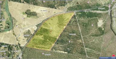 Lifestyle Sold - NSW - Wog Wog - 2622 - 114 ACRE COUNTRY RETREAT, VIEWS, DWELLING ENTITLEMENT TO BUILD YOUR DREAM HOME, ROAD FRONT, SHED, FIREPLACE, BACKS ONTO NATIONAL PARK, ARE YOU READY?  (Image 2)