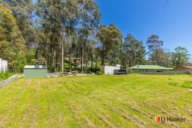 Residential Block For Sale - NSW - Catalina - 2536 - Lovely building block........1,781m2  (Image 2)