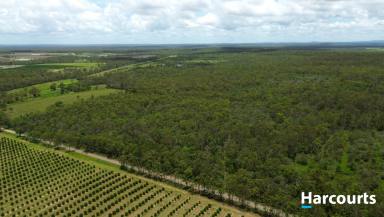 Lifestyle For Sale - QLD - Abington - 4660 - 90 Acres of Pure Lifestyle Close to Town  (Image 2)