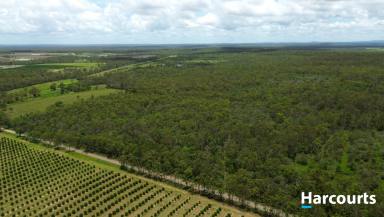 Lifestyle Sold - QLD - Abington - 4660 - 90 Acres of Pure Lifestyle Close to Town  (Image 2)