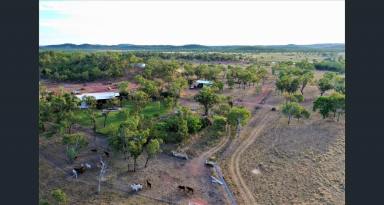 Mixed Farming For Sale - NT - Adelaide River - 0846 - Rural lifestyle with income streams!  (Image 2)