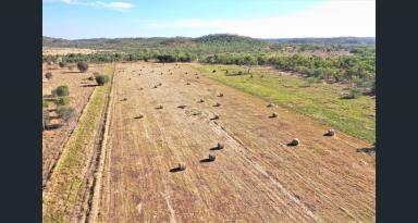 Mixed Farming For Sale - NT - Adelaide River - 0846 - Rural lifestyle with income streams!  (Image 2)