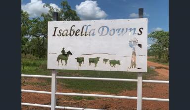 Livestock For Sale - NT - Adelaide River - 0846 - DISCOVER THE POTENTIAL AT ISABELLA DOWNS: A PRIME 1,583* HECTARE FREEHOLD PROPERTY AWAITS!  (Image 2)