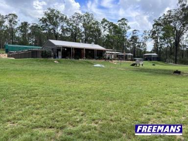 House For Sale - QLD - Wattle Camp - 4615 - 5.6 fully fenced acres complete privacy  (Image 2)