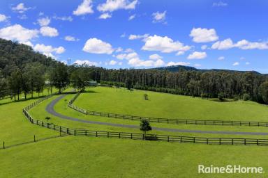 Acreage/Semi-rural For Sale - NSW - Budgong - 2577 - Unbeatable Value 100 Acre Property  (Image 2)