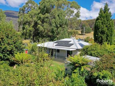 House For Sale - TAS - Lachlan - 7140 - A Spectacular Family Home on Offer  (Image 2)