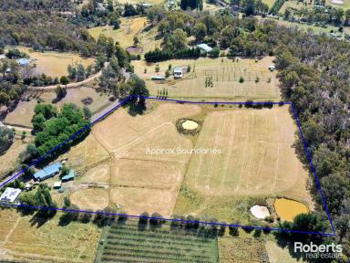 House For Sale - TAS - Lachlan - 7140 - 2  Houses for the Price of 1  (Image 2)