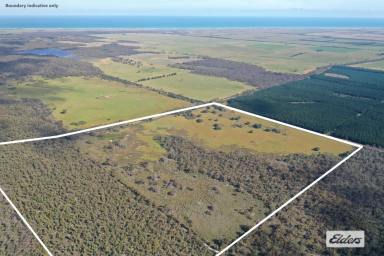 Other (Rural) For Sale - VIC - Giffard - 3851 - Heathy Woodlands - 202 Acres  (Image 2)