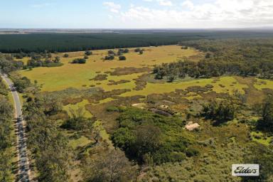 Other (Rural) For Sale - VIC - Giffard - 3851 - Heathy Woodlands - 202 Acres  (Image 2)