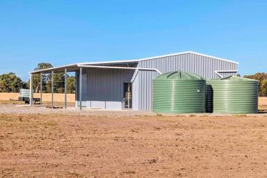 Residential Block For Sale - VIC - Violet Town - 3669 - "20 Acres of Bliss with an Approved Planning Permit for a Dwelling, A Completed 16 x 11 Steel Frame Shed, a Large Dam and Captivating Views  (Image 2)
