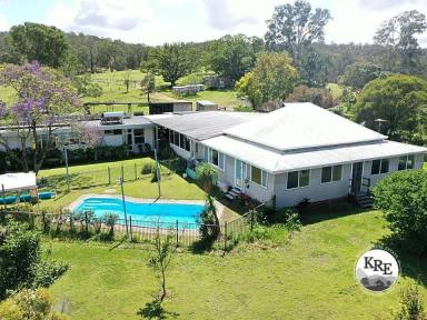 Livestock For Sale - NSW - Casino - 2470 - " LYNBURN"  (Image 2)