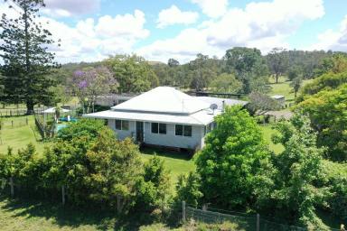 Livestock For Sale - NSW - Casino - 2470 - " LYNBURN"  (Image 2)