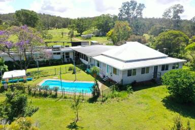 Livestock For Sale - NSW - Casino - 2470 - " LYNBURN"  (Image 2)