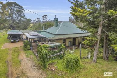 Acreage/Semi-rural Sold - NSW - Wyndham - 2550 - TIMELESS HOME ON 2.44 ACRES IN WYNDHAM  (Image 2)