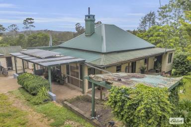 Acreage/Semi-rural Sold - NSW - Wyndham - 2550 - TIMELESS HOME ON 2.44 ACRES IN WYNDHAM  (Image 2)