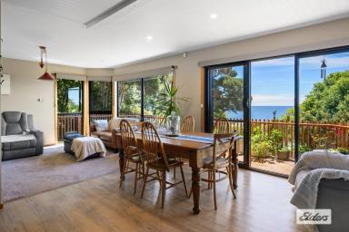 House Sold - TAS - Parklands - 7320 - SECLUDED, SEA VIEWS, AND LARGE BLOCK  (Image 2)