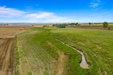 Cropping Sold - QLD - Nobby - 4360 - Perfect rural allotment!  (Image 2)